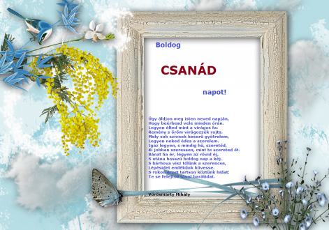 csanad.png