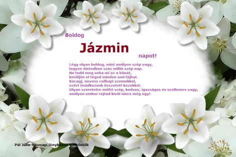 jazmin1.png